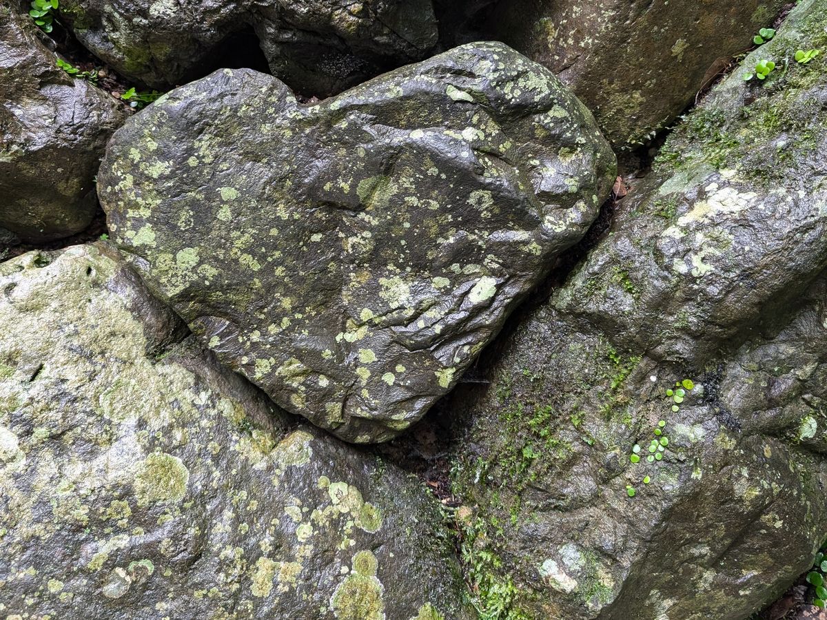 外宮で見つけたハート型の石垣